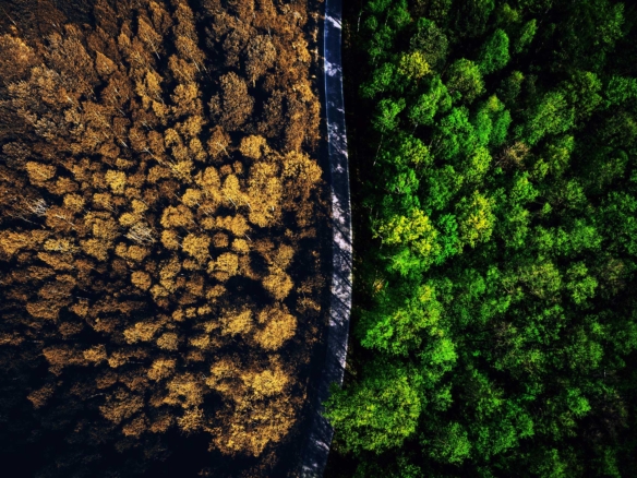 Rural Property