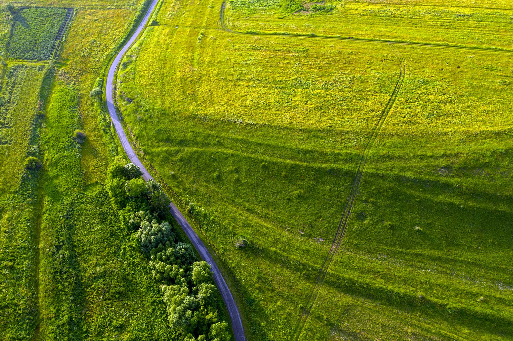 Rural Property